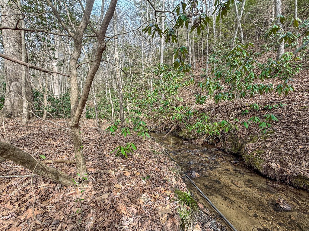 1098 Rowland Hill Road Marble, NC 28905 - Photo 18 of 26