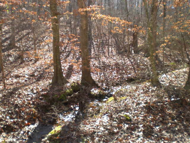 3851 Daniels Bridge Road Stockbridge, GA 30281 - Photo 1 of 1 a picture of tree