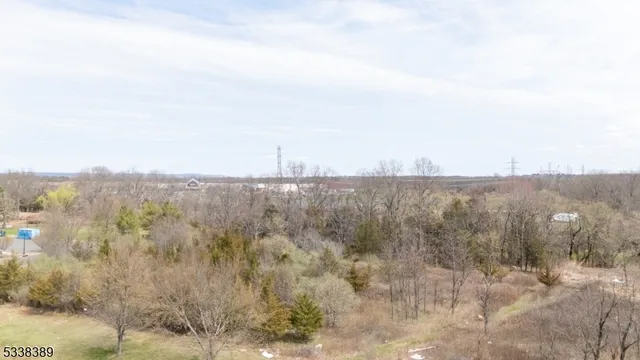 a view of a dry field with trees in background