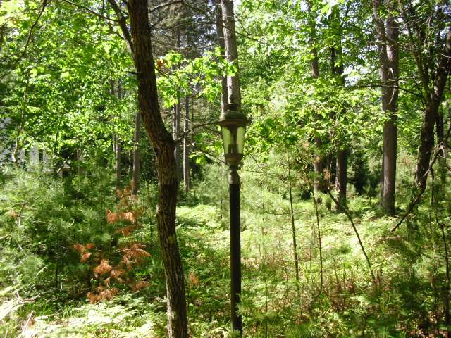2171 The Point Road East Tomahawk, WI 54487 - Photo 9 of 11 Gallery Image 9