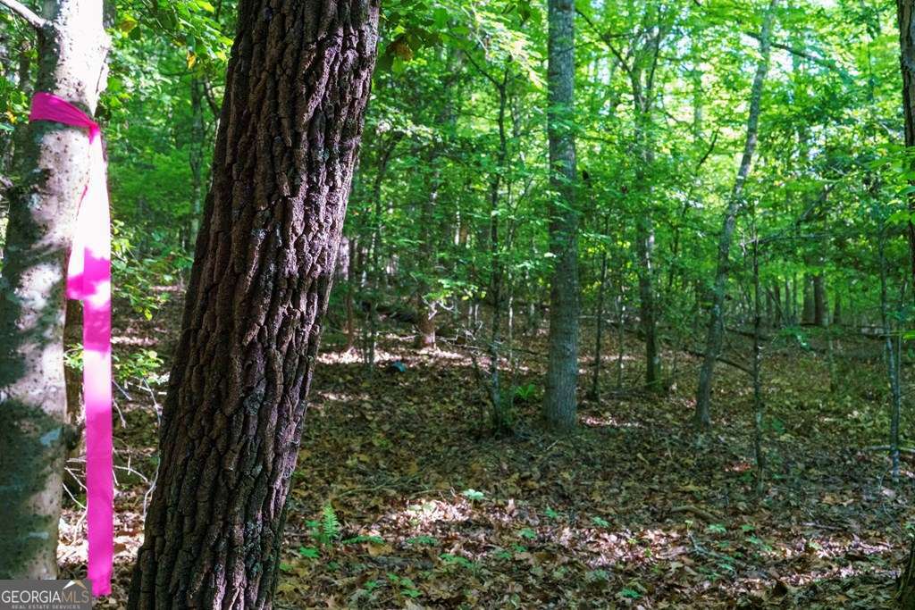 1 West Gum Log Road Warne, NC 28909 - Photo 22 of 26