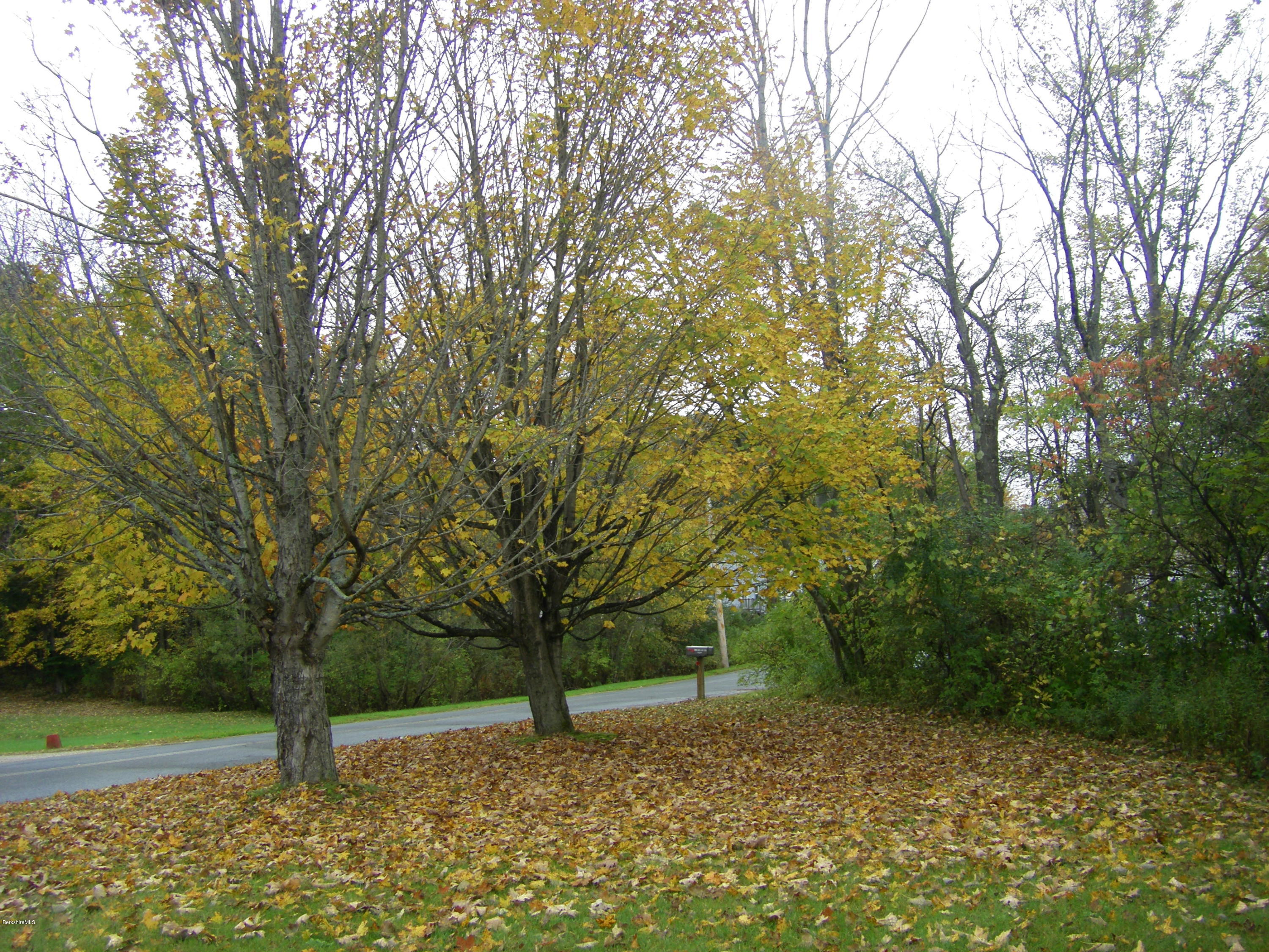 300 Cross Road Clarksburg, MA 01247 - Photo 12 of 29 a view of a tree in a yard