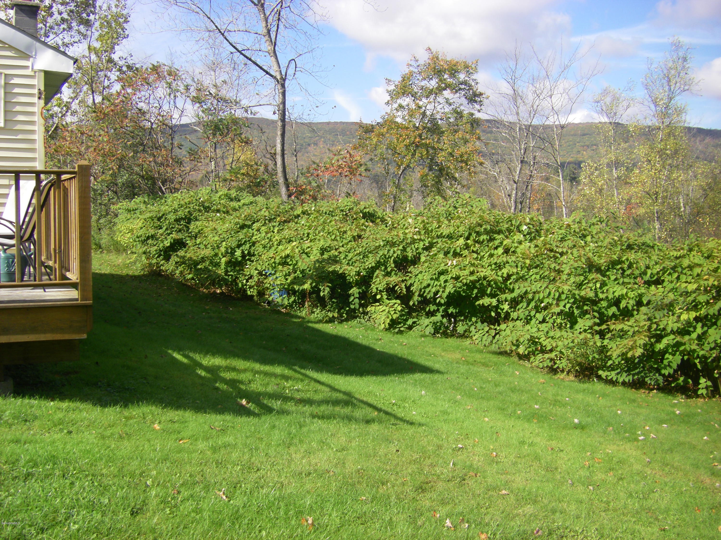 300 Cross Road Clarksburg, MA 01247 - Photo 7 of 29 a view of a back yard