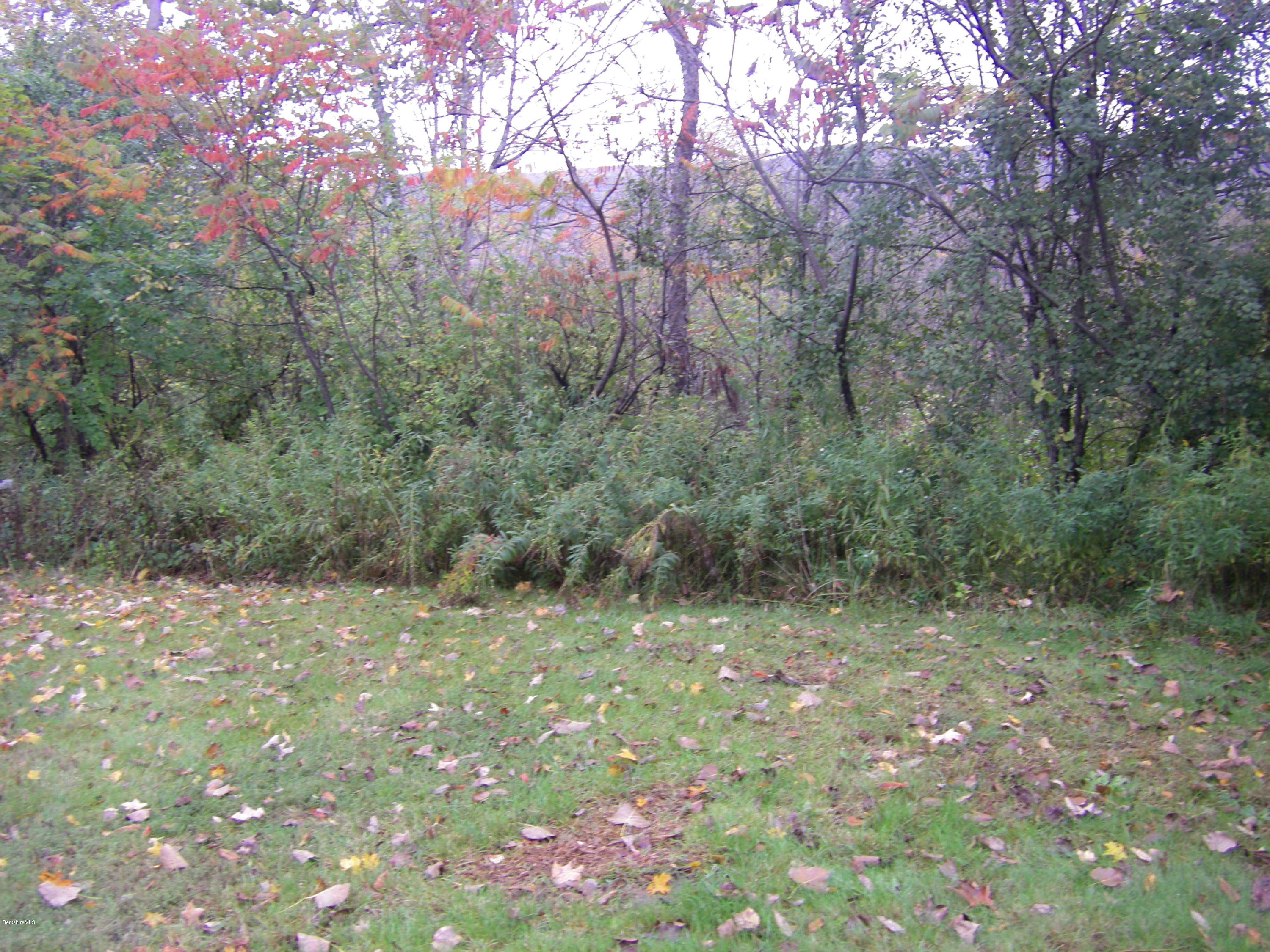 300 Cross Road Clarksburg, MA 01247 - Photo 8 of 29 a view of an outdoor space and a yard
