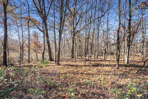 $63,500 | V/l Cedar Lake, Marshall, MI 49068