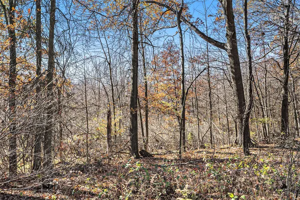 $63,500 | V/l Cedar Lake, Marshall, MI 49068