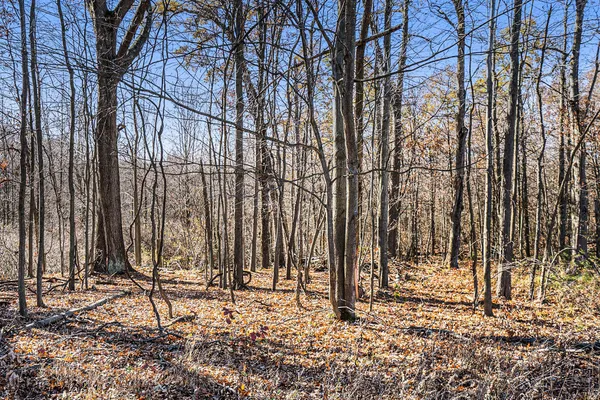 $63,500 | V/l Cedar Lake, Marshall, MI 49068