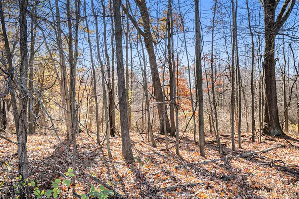 $63,500 | V/l Cedar Lake, Marshall, MI 49068