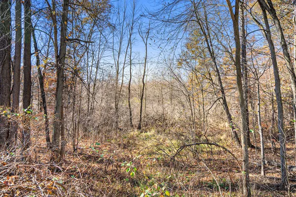 $63,500 | V/l Cedar Lake, Marshall, MI 49068