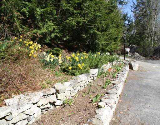 14 Sherburne Road Lexington, MA 02421 - Photo 22 of 25 Yard/Garden.