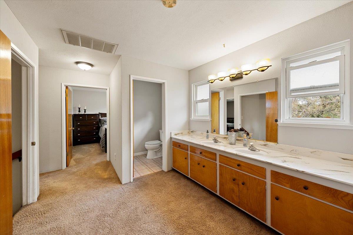 2540 Muir Court Cool, CA 95614 - Photo 38 of 97 ensuite bathroom with healthy amount of natural light, double vanity, and light colored carpet