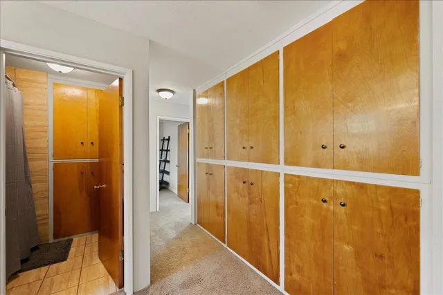 a view of a yard with trees