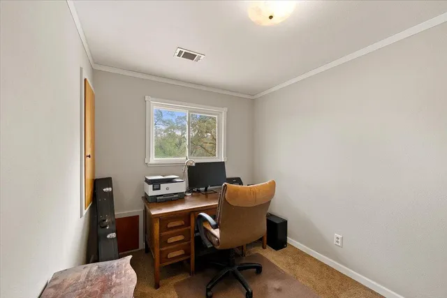 a view of a yard with a house and large trees