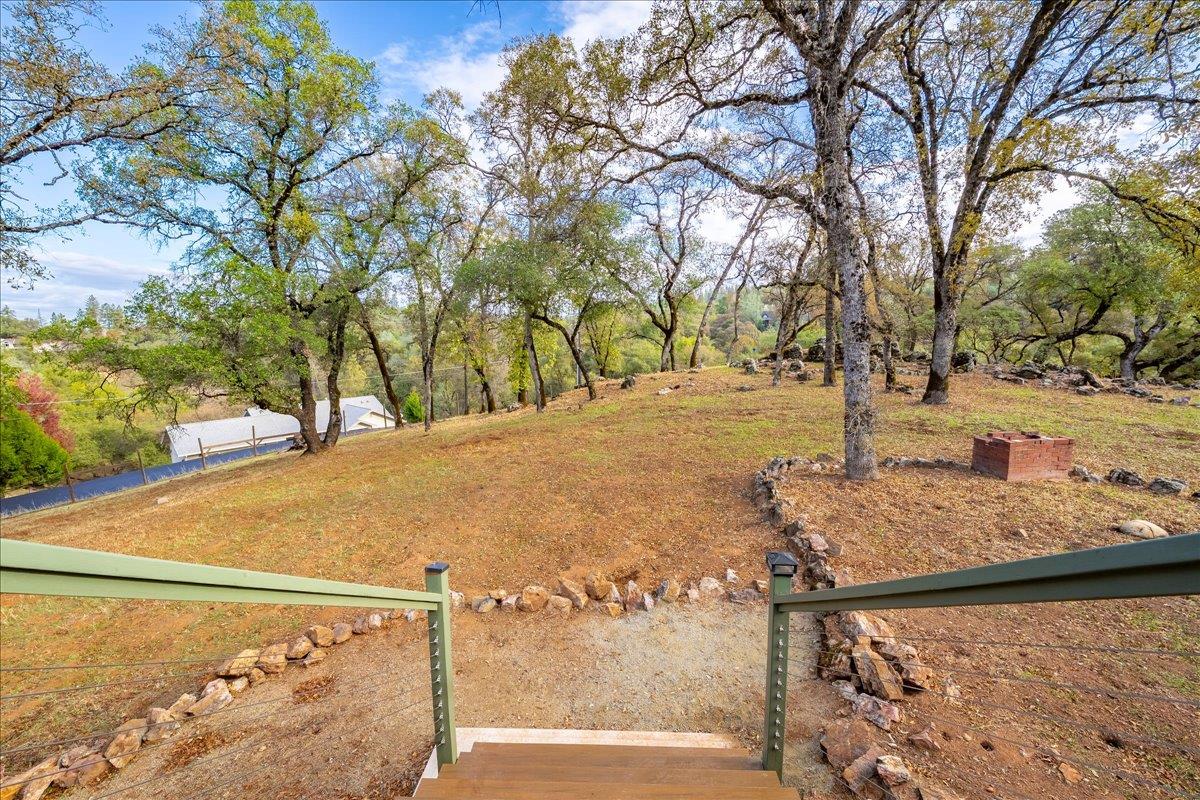 2540 Muir Court Cool, CA 95614 - Photo 51 of 97 a view of a yard with snow on the road