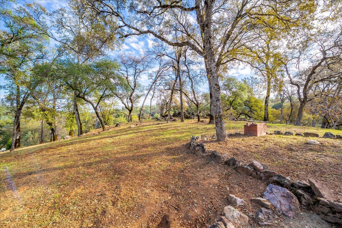 2540 Muir Court Cool, CA 95614 - Photo 61 of 97 view of yard