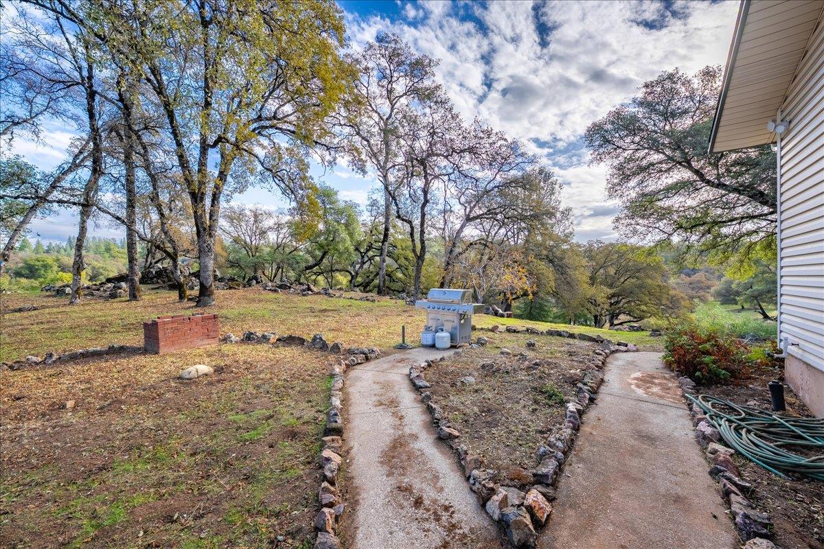 2540 Muir Court Cool, CA 95614 - Photo 62 of 97 view of yard