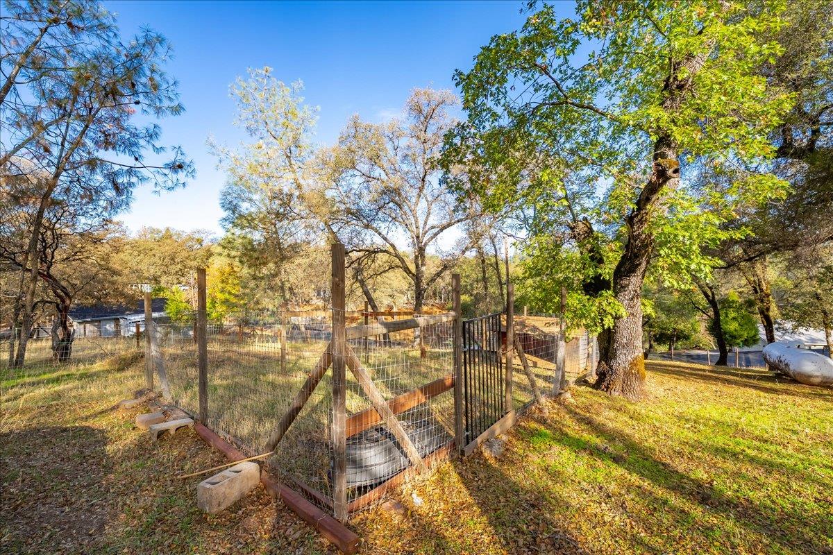 2540 Muir Court Cool, CA 95614 - Photo 64 of 97 view of yard featuring view of scattered trees