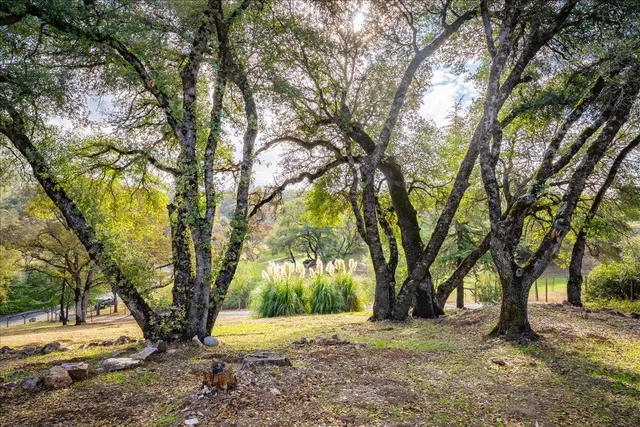 $650,000 | 2540 Muir Court, Cool, CA 95614