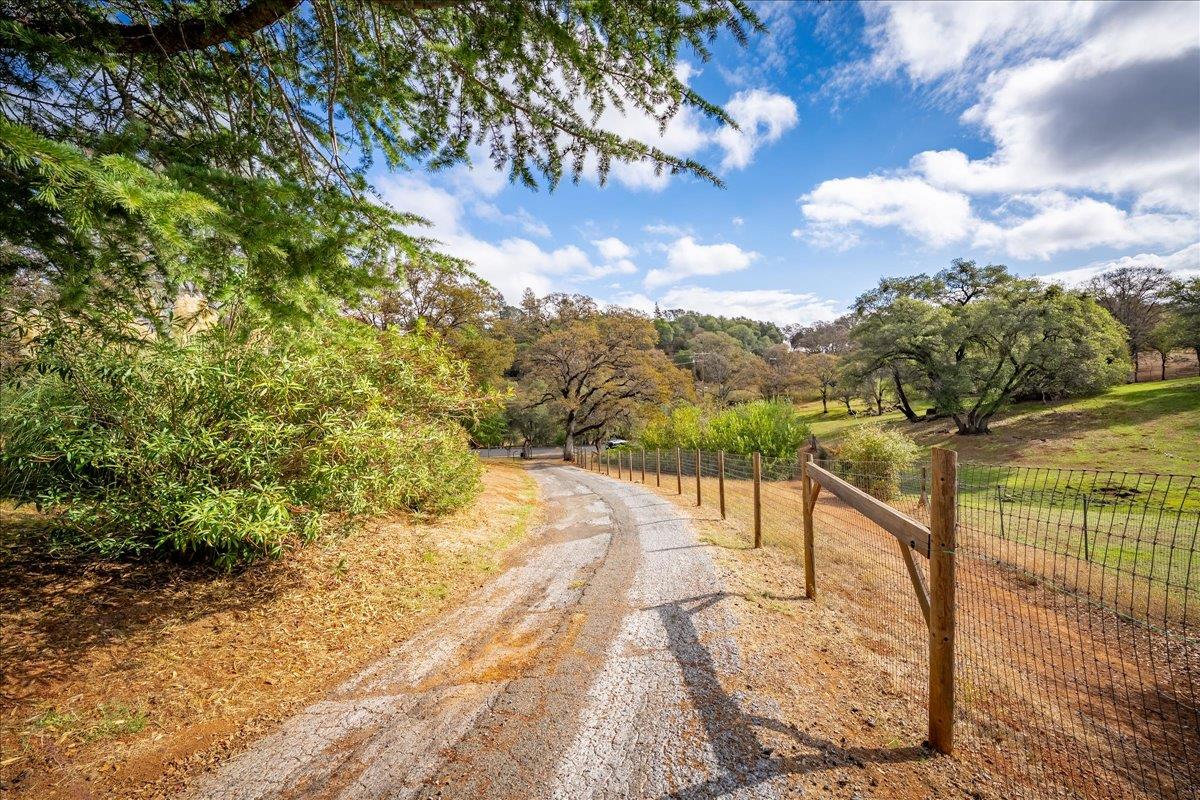 2540 Muir Court Cool, CA 95614 - Photo 69 of 97 view of street featuring a view of rural / pastoral area and a view of trees