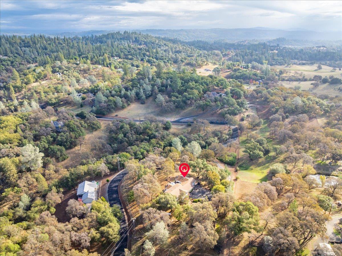 2540 Muir Court Cool, CA 95614 - Photo 77 of 97 bird's eye view of a forest