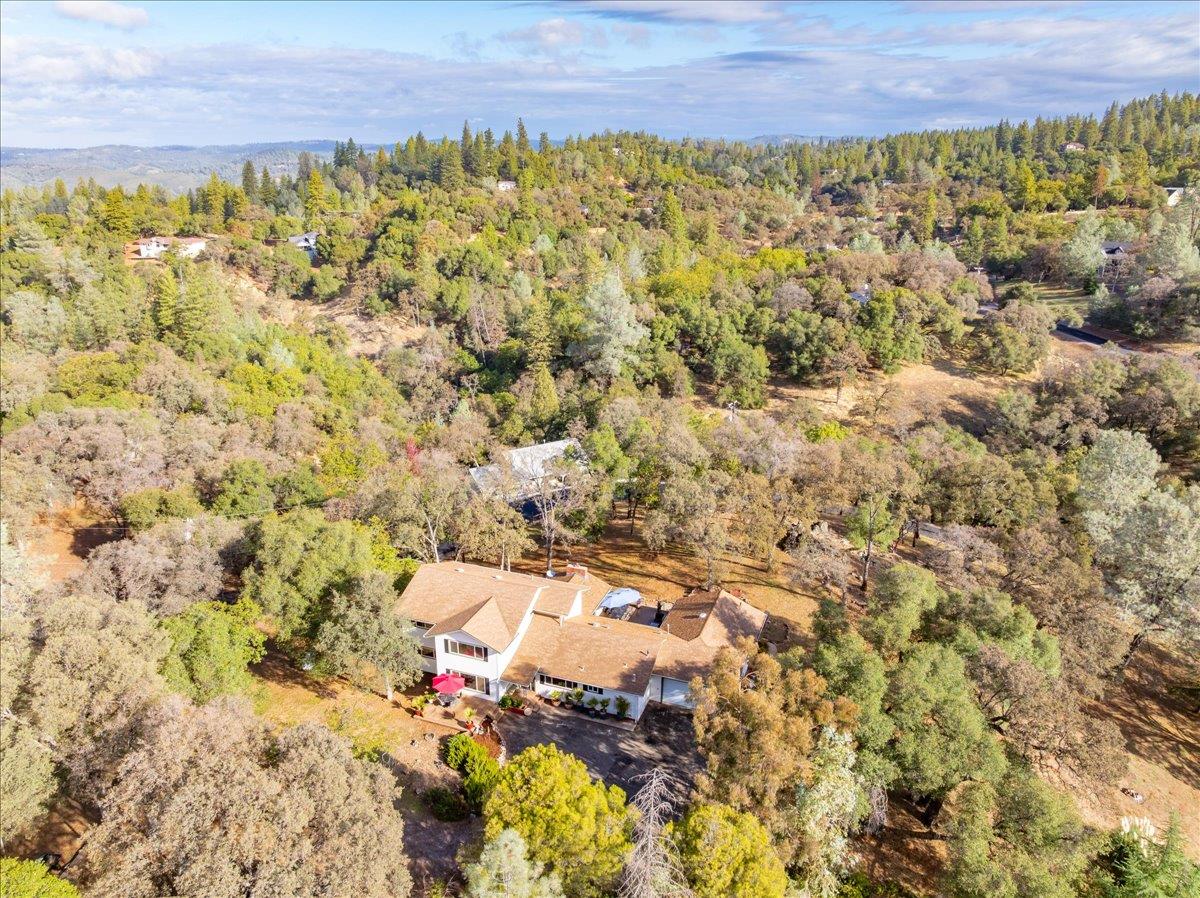 2540 Muir Court Cool, CA 95614 - Photo 81 of 97 aerial view of property's location with a forest