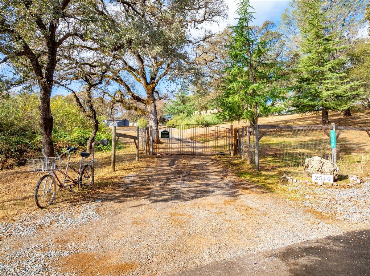 2540 Muir Court Cool, CA 95614 - Photo 91 of 97 view of dirt / gravel driveway with a gated entry and a gate