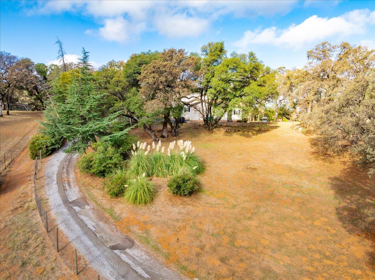 2540 Muir Court Cool, CA 95614 - Photo 93 of 97 view of yard
