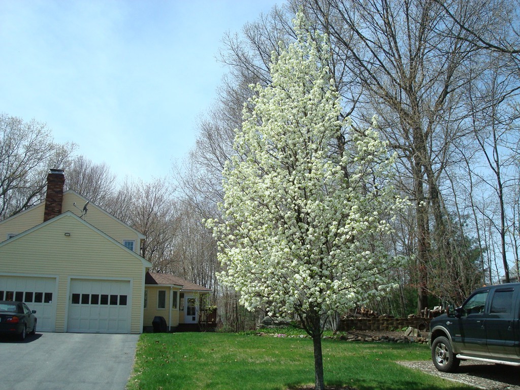 7 Coldbrook Road Millbury, MA 01527 - Photo 4 of 19 Gallery Image 4
