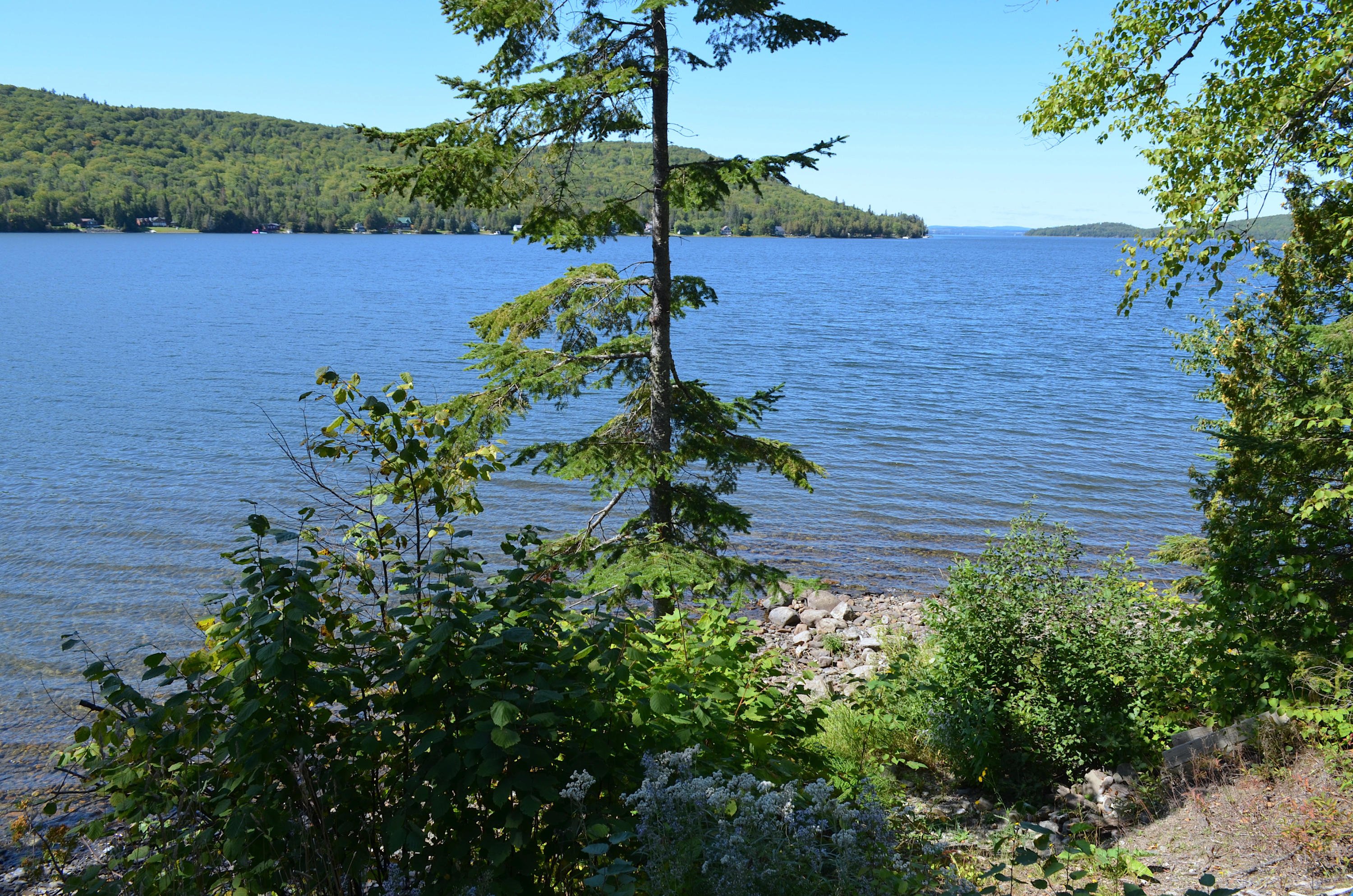 94 East Road St. David, ME 04773 - Photo 18 of 22 DSC_0552
