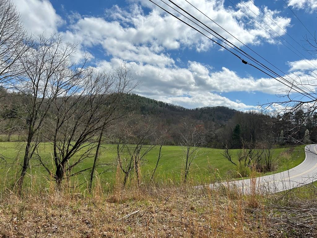 262 Dial Road Blue Ridge, GA 30513 - Photo 1 of 71 Main View