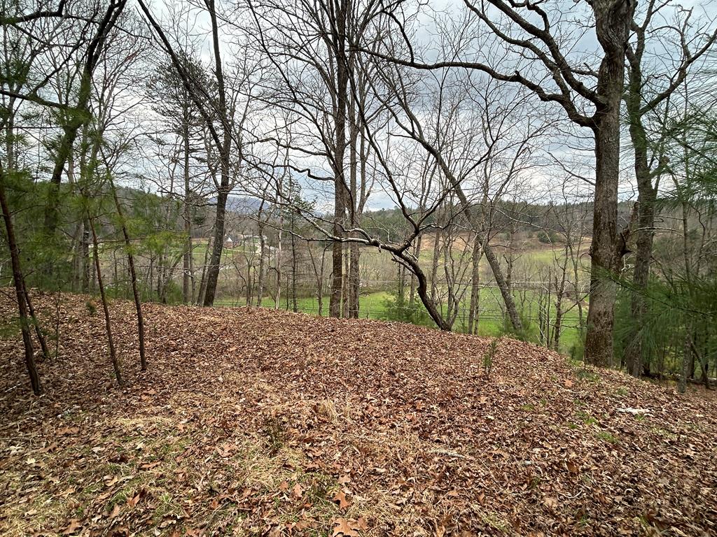 262 Dial Road Blue Ridge, GA 30513 - Photo 12 of 71 View from Knoll on Acreage