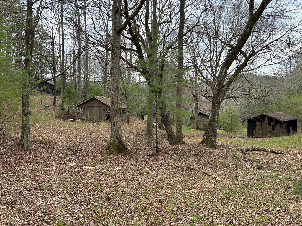262 Dial Road Blue Ridge, GA 30513 - Photo 14 of 71 Several Outbuildings