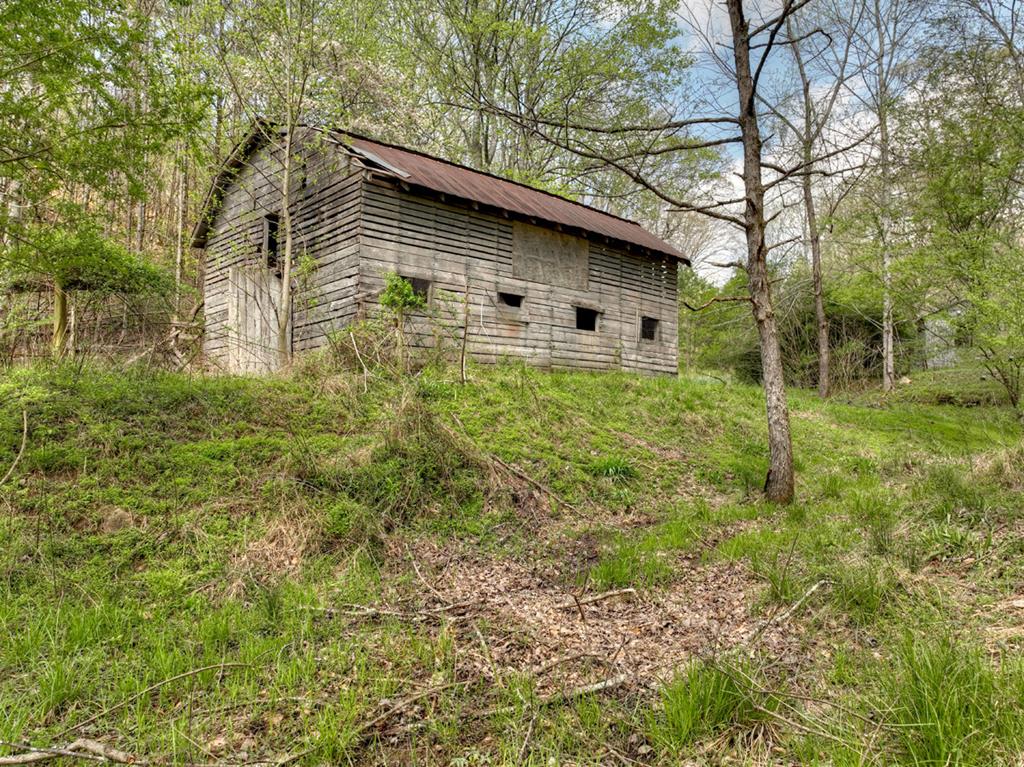 262 Dial Road Blue Ridge, GA 30513 - Photo 15 of 71 Barn from Old Pond Site