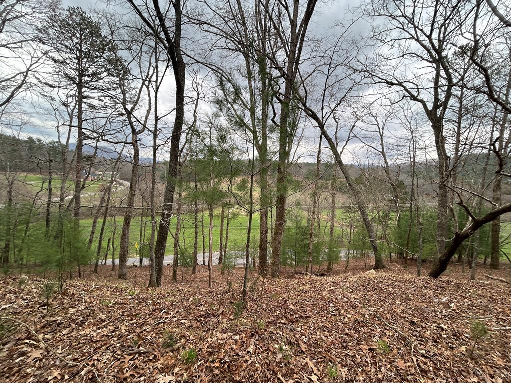 262 Dial Road Blue Ridge, GA 30513 - Photo 16 of 71 Mountain/Pasture Views from Acreage