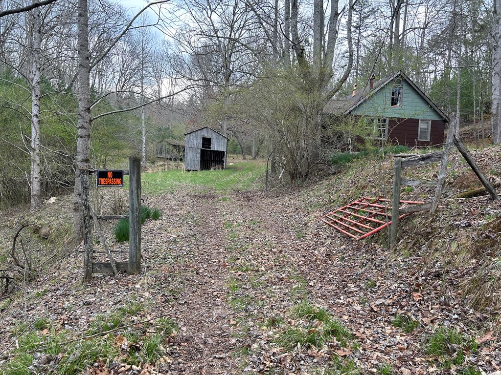 262 Dial Road Blue Ridge, GA 30513 - Photo 17 of 71 Driveway into Acreage