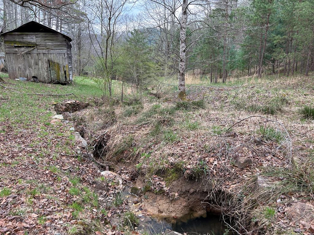 262 Dial Road Blue Ridge, GA 30513 - Photo 18 of 71 Small Stream leading to Pond Site