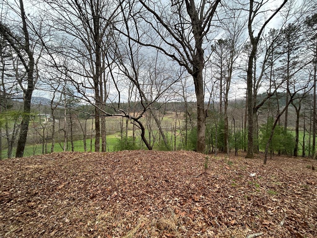 262 Dial Road Blue Ridge, GA 30513 - Photo 19 of 71 Views from Acreage