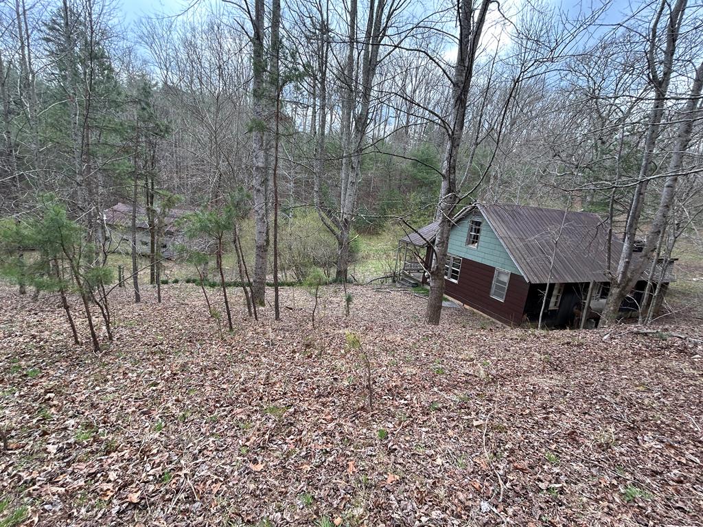 262 Dial Road Blue Ridge, GA 30513 - Photo 20 of 71 Old Home Place