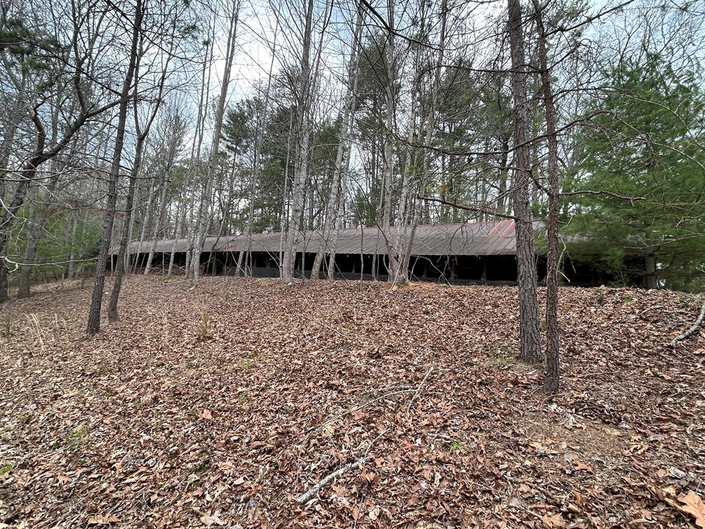 262 Dial Road Blue Ridge, GA 30513 - Photo 21 of 71 Abandon Chicken House