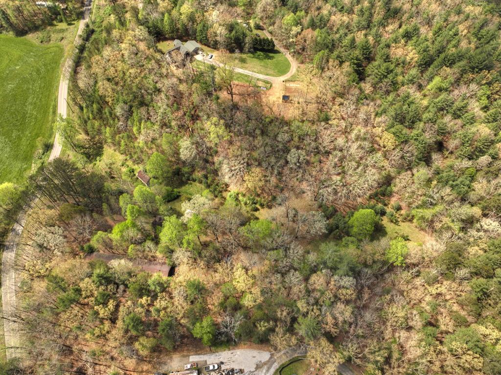 262 Dial Road Blue Ridge, GA 30513 - Photo 24 of 71 Ariel View