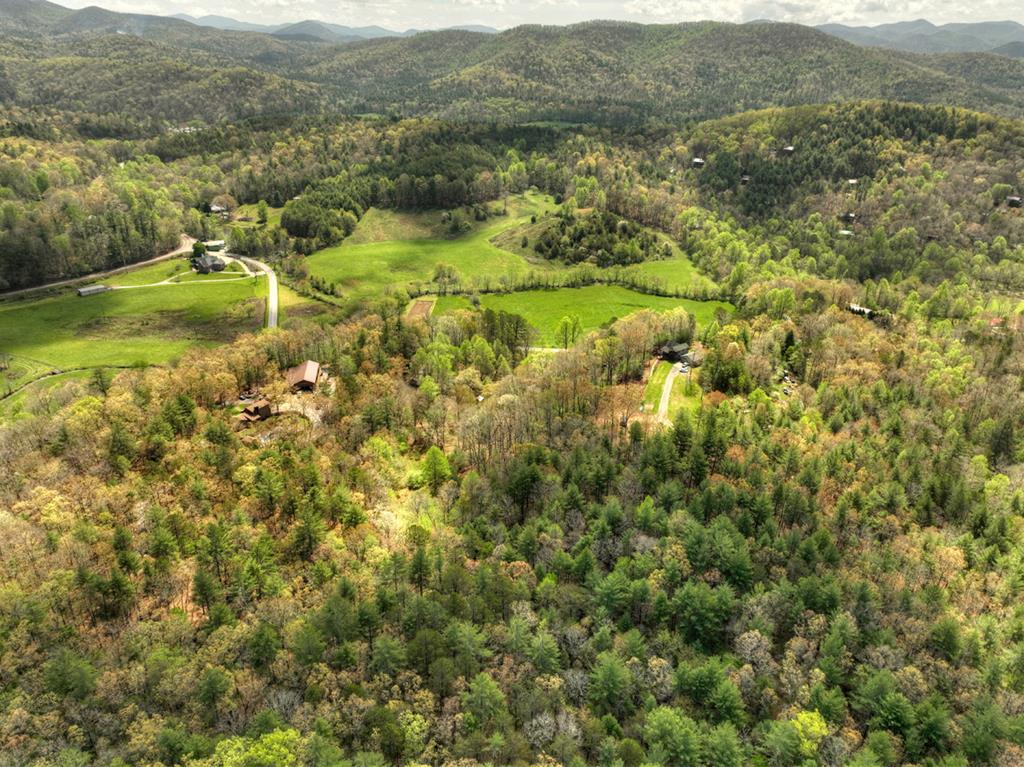 262 Dial Road Blue Ridge, GA 30513 - Photo 26 of 71 Ariel View