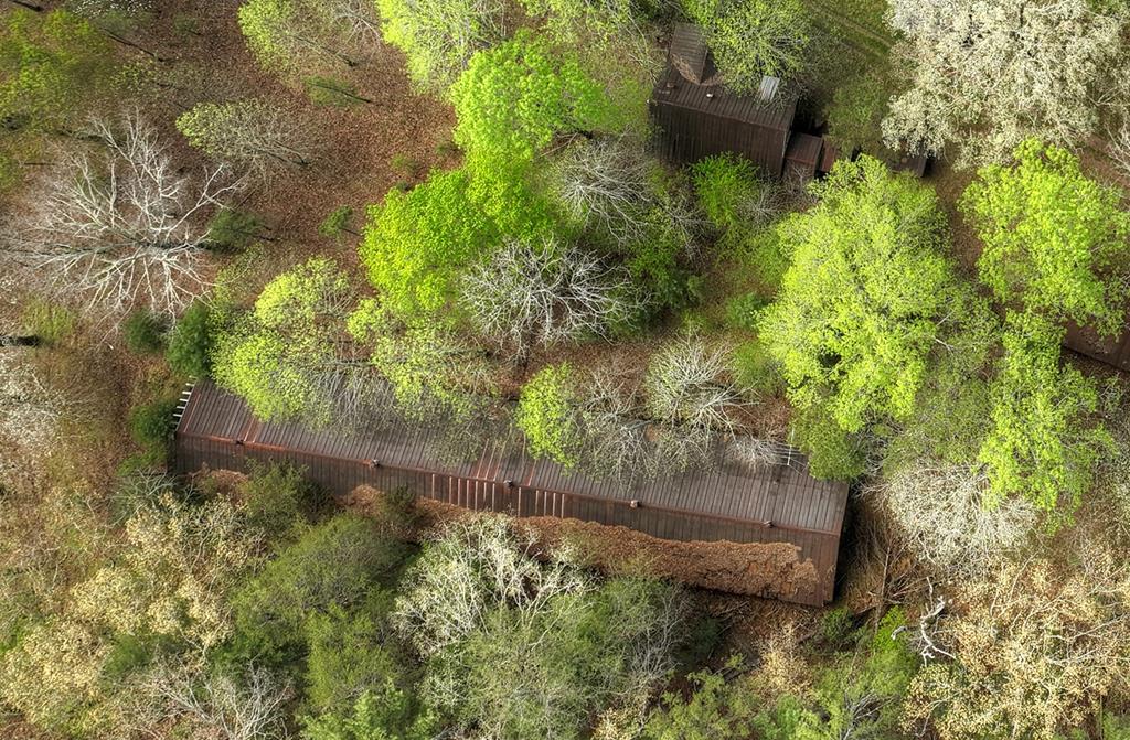 262 Dial Road Blue Ridge, GA 30513 - Photo 29 of 71 Abandon Chicken House