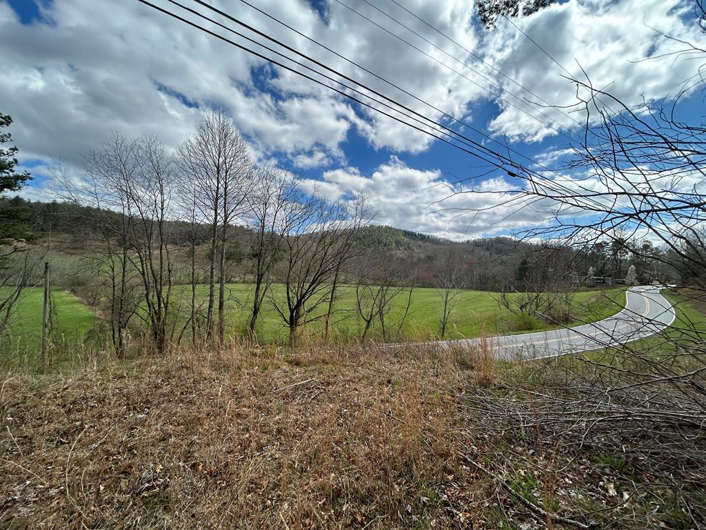 262 Dial Road Blue Ridge, GA 30513 - Photo 3 of 71 View from Acreage