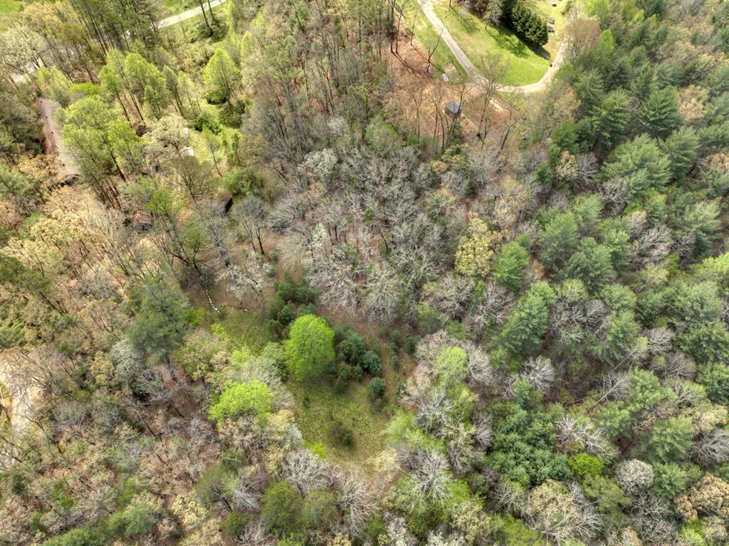 262 Dial Road Blue Ridge, GA 30513 - Photo 37 of 71 Ariel View