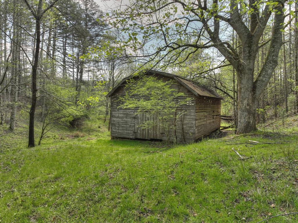 262 Dial Road Blue Ridge, GA 30513 - Photo 38 of 71 Large Barn