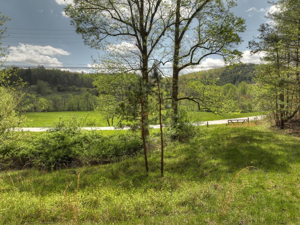 262 Dial Road Blue Ridge, GA 30513 - Photo 41 of 71 Peaceful Acreage w/Views