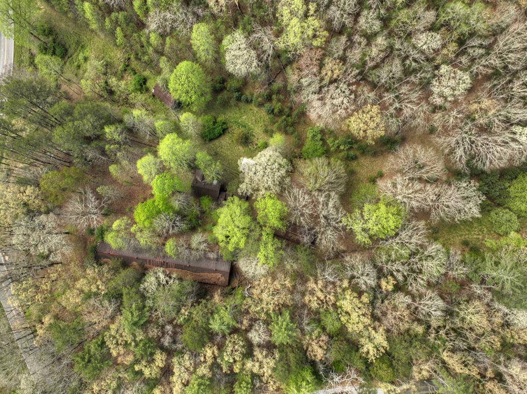 262 Dial Road Blue Ridge, GA 30513 - Photo 43 of 71 Ariel View