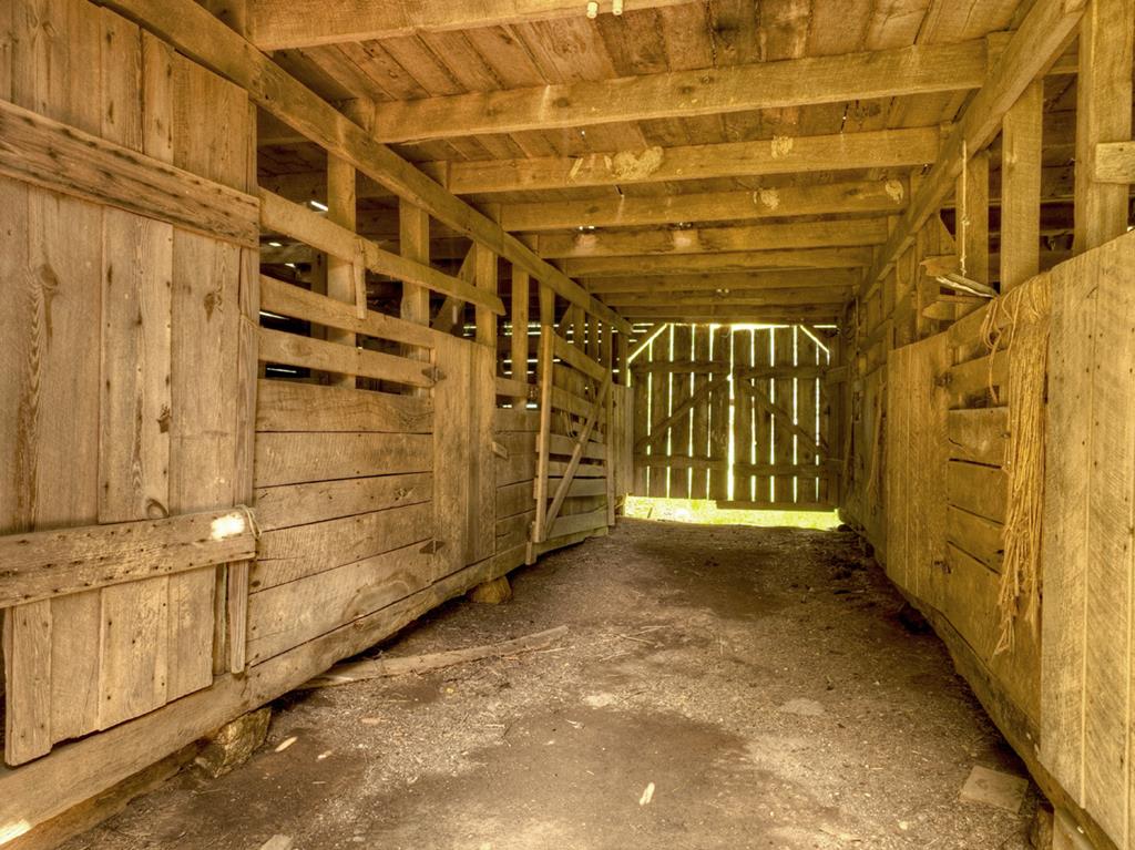 262 Dial Road Blue Ridge, GA 30513 - Photo 44 of 71 8-Stalls in Barn
