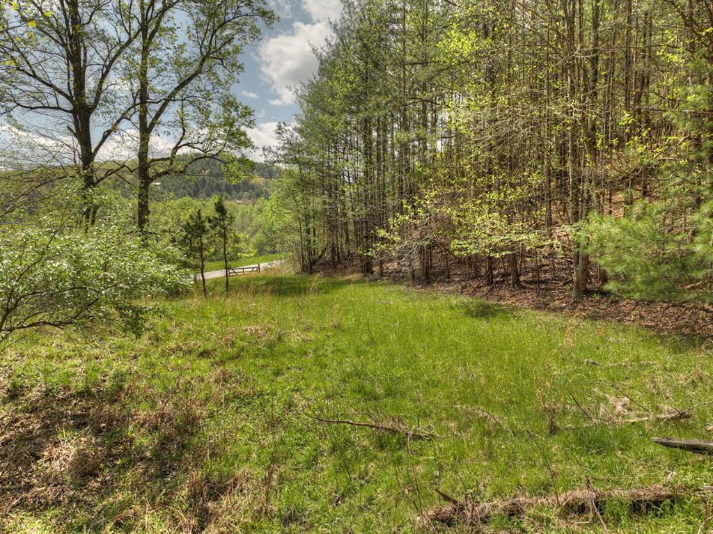 262 Dial Road Blue Ridge, GA 30513 - Photo 45 of 71 Level Entry Acreage