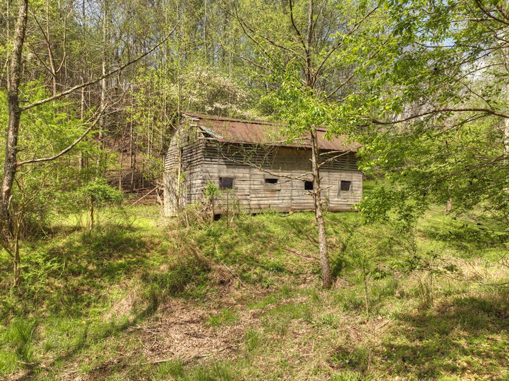 262 Dial Road Blue Ridge, GA 30513 - Photo 47 of 71 Barn